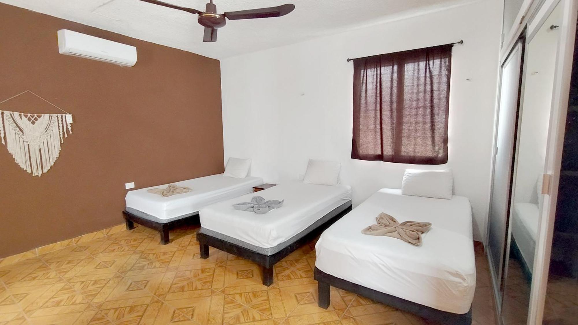 Spanglish Hostel バリャドリッド エクステリア 写真